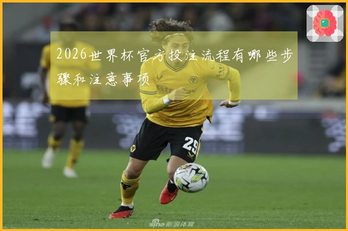 2026世界杯官方投注流程有哪些步骤和注意事项