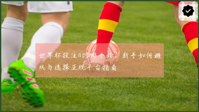 世界杯投注app哪个好？新手如何避坑与选择正规平台指南