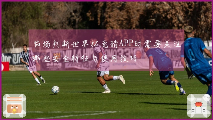 临场判断世界杯竞猜APP时需要关注哪些安全特征与使用技巧