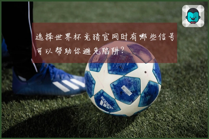 选择世界杯竞猜官网时有哪些信号可以帮助你避免陷阱？