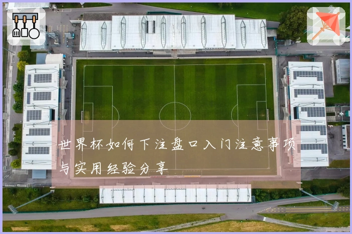 世界杯如何下注盘口入门注意事项与实用经验分享