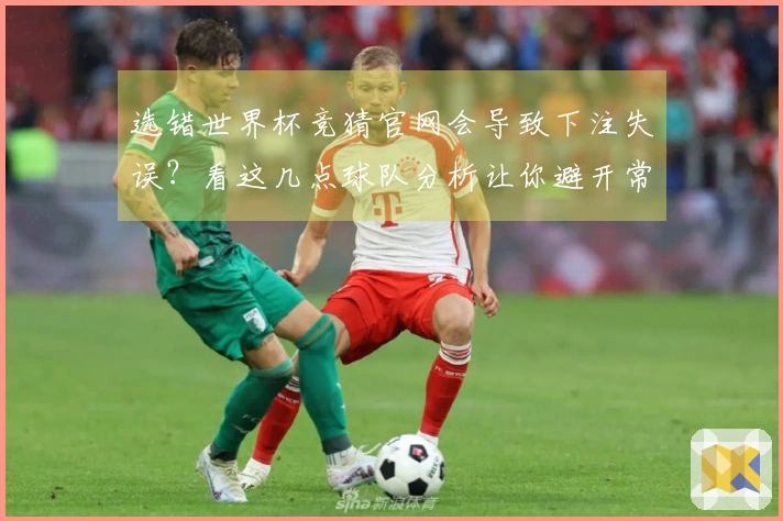 选错世界杯竞猜官网会导致下注失误？看这几点球队分析让你避开常见误区